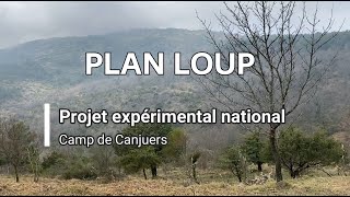 Projet expérimental Canjuers Plan Loup [upl. by Tatman]