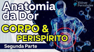 ANATOMIA DA DOR CORPO E PERISPÍRITO PARTE 001 [upl. by Sherlocke14]