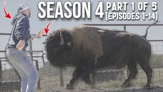 Cross Timbers Bison SEASON 4 MARATHON Part 1 of 5 [upl. by Nick]