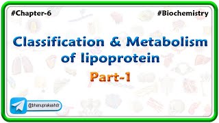 Chapter 6  Lipids  Classification amp Metabolism Of lipoprotein Part 5  Hindi [upl. by Akcinehs]