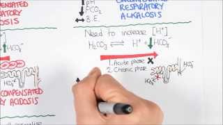 Acidbase disturbance respiratory acidosis and alkalosis [upl. by Acirtal]