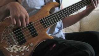 Traben Array Limited 5 Bass [upl. by Snowber700]