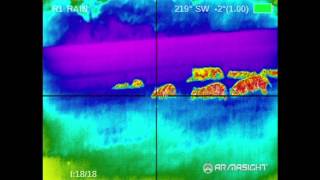 WILD BOAR HUNTING WITH THERMAL GRAPHIC 25 KILLS [upl. by Belva]