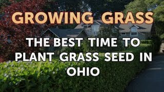 The Best Time to Plant Grass Seed in Ohio [upl. by Ydnim555]