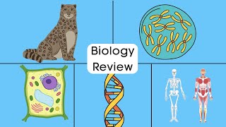 Life Science and Biology Year in Review  CellsGeneticsEvolutionSymbiosisBiomesClassification [upl. by Asiuol]