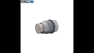 Fuel Common Rail Pressure Relief Limiter Valve 1110010028 For Cummins V837079623 5317174 [upl. by Iene446]