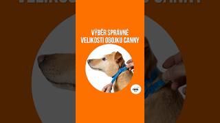 Jak správně změřit velikost ohlávky Canny Collar CannyCollar [upl. by Savior520]