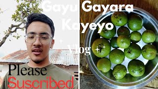 GayuMa Gayara Kayeyo  Vlog  Metho Theyo  Nepali Vlog [upl. by Meuser]