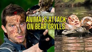 Man vs Wild In Hindi Full Episode  Patagonia  Bear Grylls Hindi zubair sadique [upl. by Swisher]