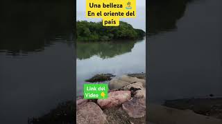 Playa Sol y Arena 😎 youtubeshorts playa viajes venezuela shorts venezolanosenelmundo [upl. by Azarcon]