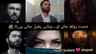 Urdu deep lines Mohabbat Rooth Jae To  Best Poetry from Parizaad drama [upl. by Ardnaid502]