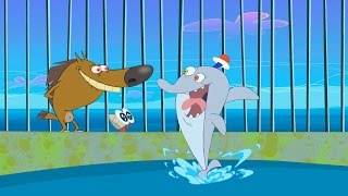 Zig amp Sharko  Waterski Hit S01E13  Full Episode in HD [upl. by Erlin]