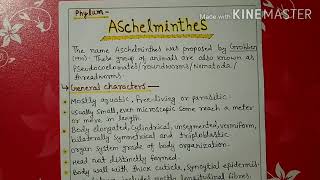 Phylum aschelminthes characters explainhindi [upl. by Allerbag]