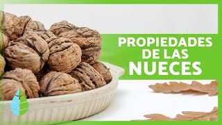 BENEFICIOS de las NUECES 🥜 Propiedades Medicinales Cómo Comerlas y Contraindicaciones [upl. by Tatiana]