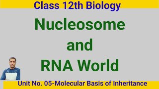 NucleosomeClass 12th Biologydrnyr755 [upl. by Teyugn]