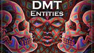 Incredible Research into DMT quotEntity Encountersquot [upl. by Cirek]