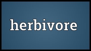 Herbivore Meaning [upl. by Lindon]