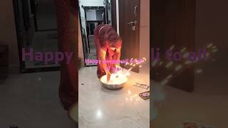 Deepawali calibration 2024 [upl. by Gnoh]