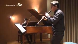 WA Mozart  Oboe Concerto in C Major KV 314 [upl. by Rhoda]