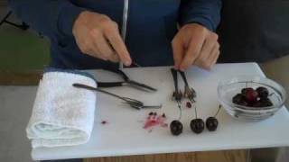 DIYHow to Make a Homemade Cherry Pitter [upl. by Arod]