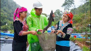 A Cold Rainy Day in the Northwest Harvesting Kohlrabi Fish Loss and a Warm Meal with the Engineer [upl. by Vanny]