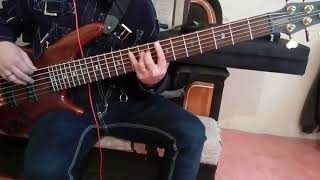 MOTIVOS  GRUPO MOJADO BASS COVER [upl. by Aniat]