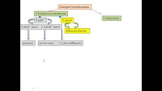 resumé du transport membranaire ° [upl. by Stutzman]