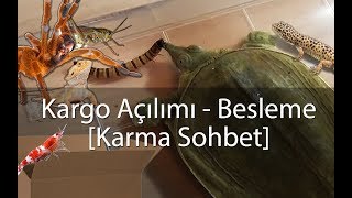 Paket Açılımı  Besleme VLOG  Agresif Kaplumbağa  Karidesler  Akrep vs [upl. by Atiuqrehs]