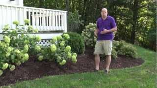 Front Yard Landscape Design Ideas  Trumbull CT Landscape Designer [upl. by Nauqan188]