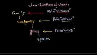 2 Classification of viruses [upl. by Aihselat]