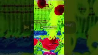 palang gate design 🌹🥀🌹🥀🌹beautiful homedecor flowers design vairalvideo [upl. by Alrick]