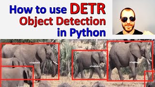 Code How to use Facebooks DETR object detection algorithm in Python Full Tutorial [upl. by Otrebor]