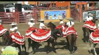 jaripeo en Joliet Illinois illinois latino tve tv chicago IL [upl. by Aisined1]