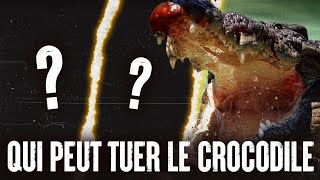 5 ANIMAUX qui pourraient VAINCRE un CROCODILE [upl. by Anahsat]