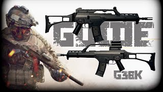 G36K GUN GUIDE Insurgency Sandstorm [upl. by Salba647]