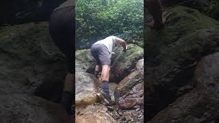 Charco Guaraguao 🌱 Ep80 envivo Quebrada crecía ☘️ [upl. by Olleina]