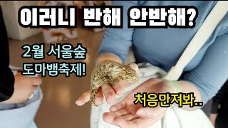 렙타일쑈 2월 서울숲 도마뱀 축제를 즐겨보자 [upl. by Dehlia]