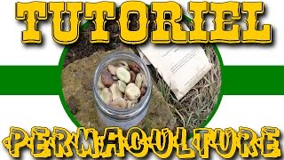 🌿  Tutoriel Permaculture   Semer les fèves en février climat montagnardSemiContinental 🌿 [upl. by Akkim]