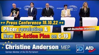 Christine Anderson MEPNew Press ConferenceEUAction Plan on C19 [upl. by Iives16]