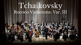 Tchaikovsky  Rococò Variations Var III Metamorphose String Orchestra [upl. by Teik]