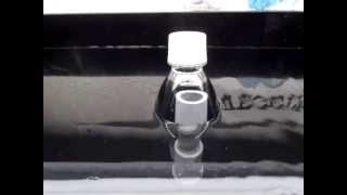 Aquaponics Soda Bottle Bell Siphon [upl. by Elad771]