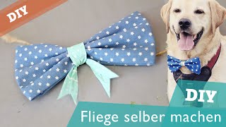 Fliege  Schleife ohne Nähen  Hunde DIY  selber machen  Hundekanal [upl. by Aserahs]