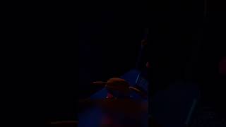 Scooping Circus Babys Ice Cream vr fnaf shorts [upl. by Balmuth855]