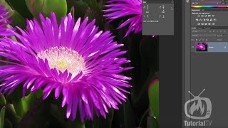 Photoshop CC  Avvertimento gamma [upl. by Rutherford]