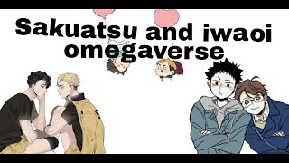 Sakuatsu and iwaoi omegaverse Haikyuu text [upl. by Lubbock759]