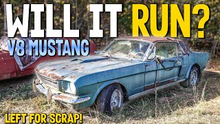 JUNKYARD 1966 V8 Mustang  Will It Run And Drive After Decades [upl. by Inkster789]