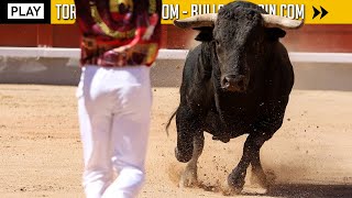 EMISIÓN GUADALAJARA 2023 SEGUNDO TORO [upl. by Herstein]