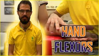 Hand Facilitation 3 Flexors Facilitation [upl. by Boice]