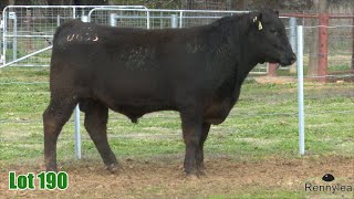 Lot 190 Rennylea NOR23U633 [upl. by Jillayne]