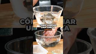 Limpia tu greca como un pro  ¿Has pensado cómo limpiar tu greca correctamente al preparar café [upl. by Kathlene]